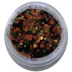 Hologram - 6